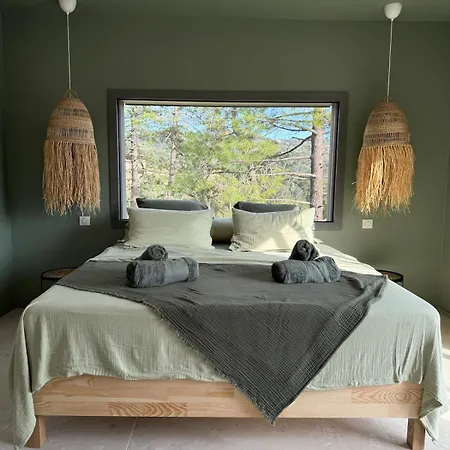 Bohemian With Heated Pool Near