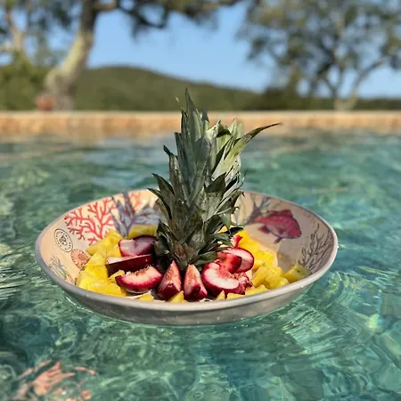 Bohemian With Heated Pool Near *