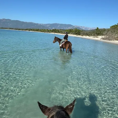 Bohemian With Heated Pool Near *