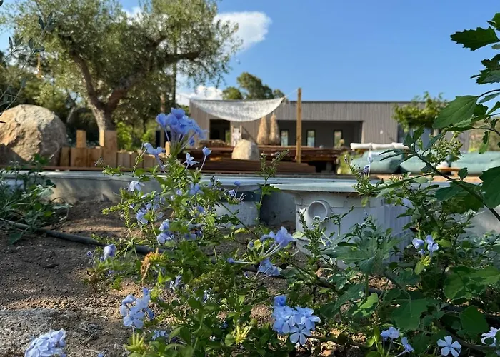 Bohemian With Heated Pool Near Villa