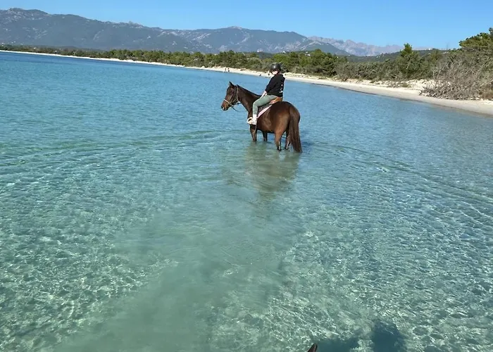 Bohemian With Heated Pool Near *